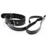 Generique Collier Laisse Premium